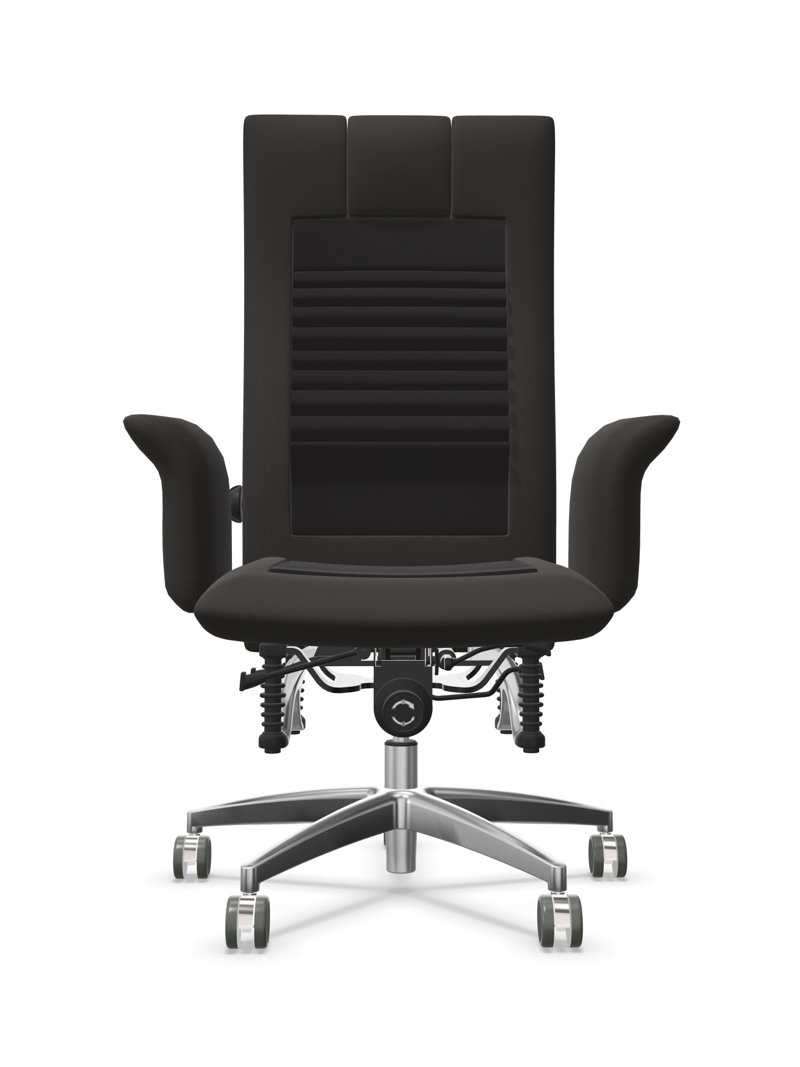 bioswing_780_detensor_2