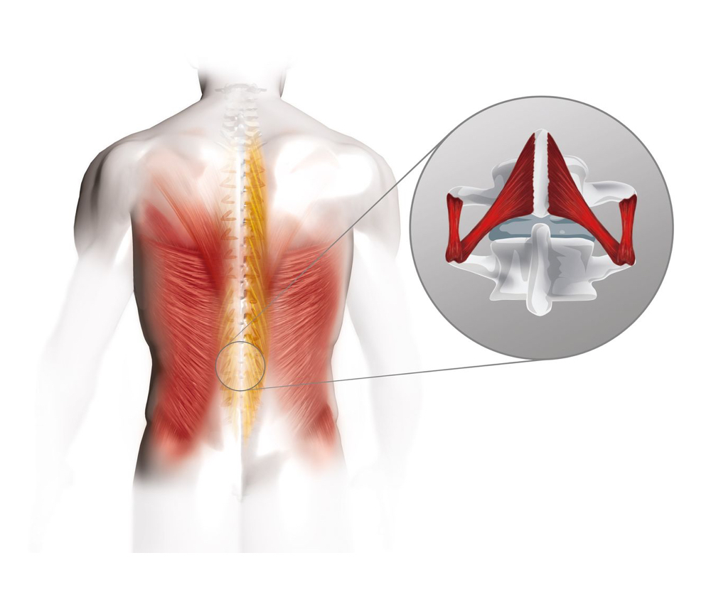 active_seating_back